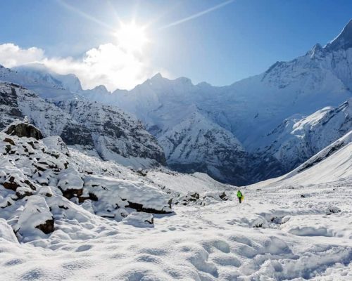 himalaya007 himalaya007